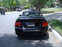 Mustang SVT Cobra Mustang SVT Cobra