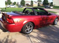 Mustang SVT Cobra Mustang SVT Cobra