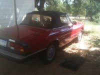 1988 Alfa Romeo Spider Overview 1988 Alfa Romeo Spider Overview