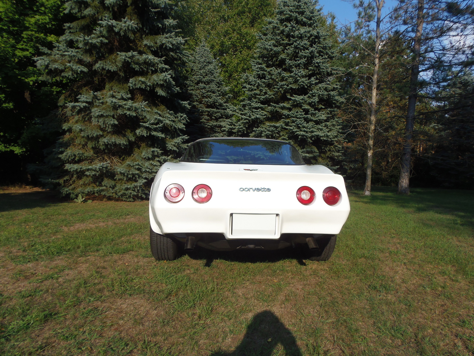 1981 Chevrolet Corvette