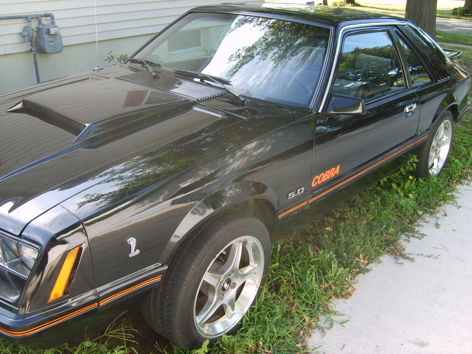 1979 Ford Mustang