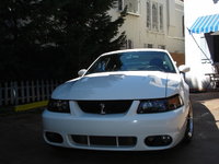 Mustang SVT Cobra Mustang SVT Cobra