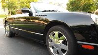 Thunderbird Thunderbird