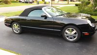 Thunderbird Thunderbird