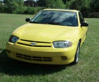 Cavalier Cavalier