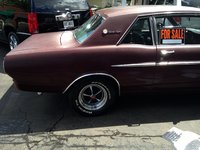 Falcon Falcon