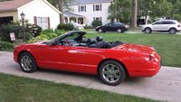 Thunderbird Thunderbird