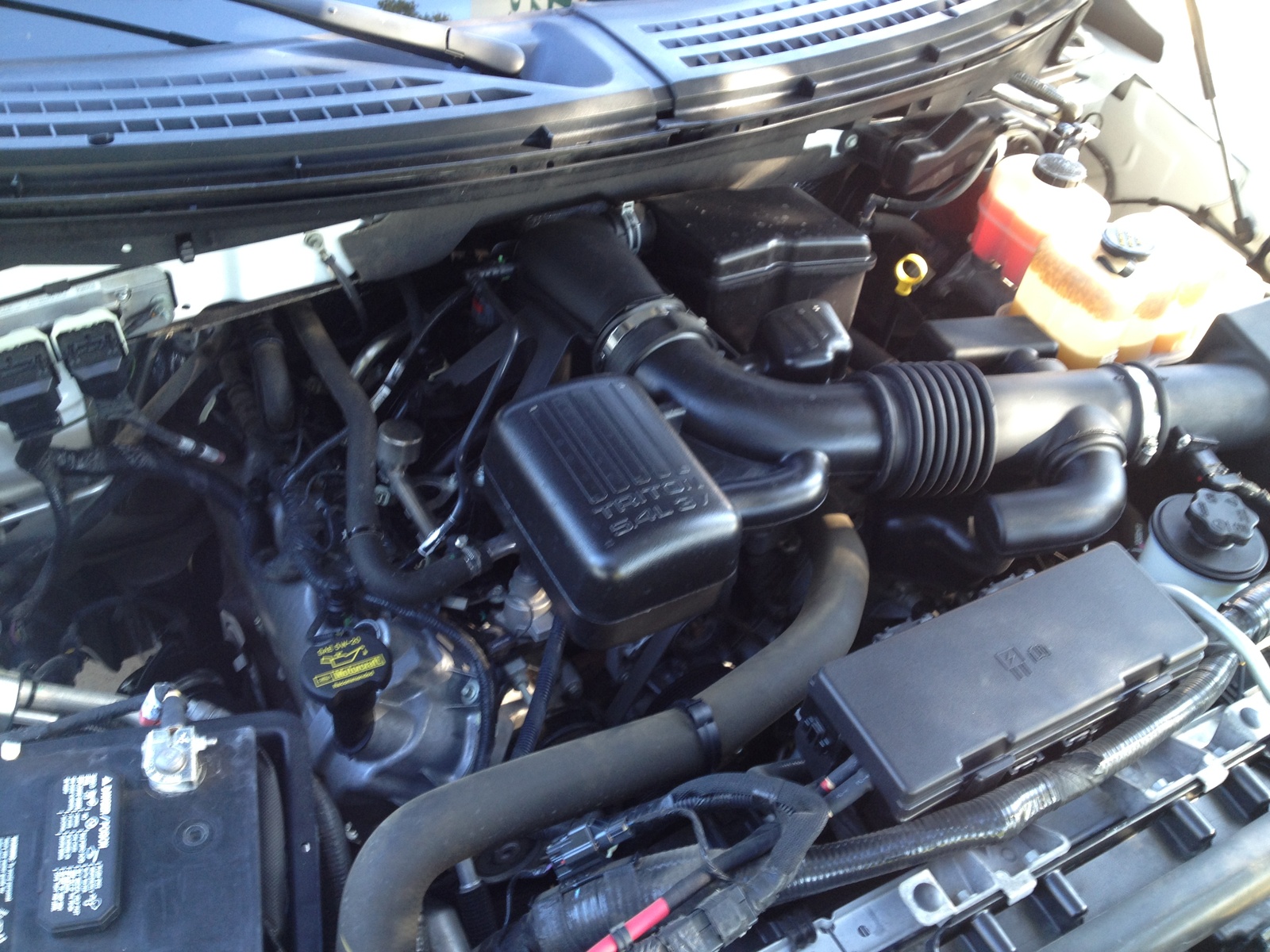 2010 Ford F-150