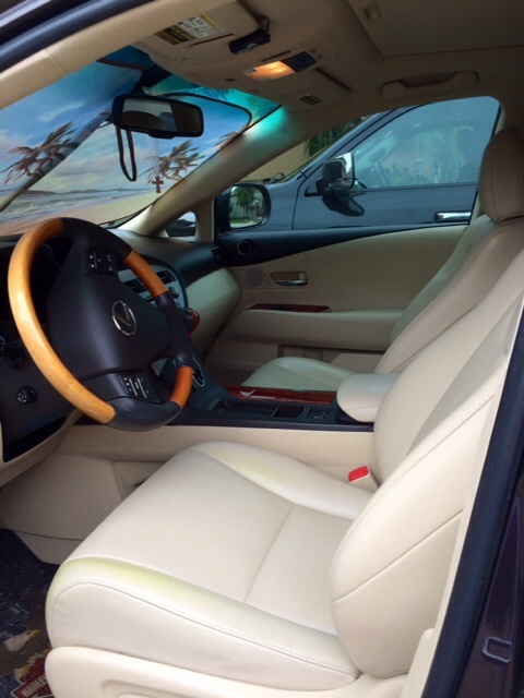 2010 Lexus RX 350