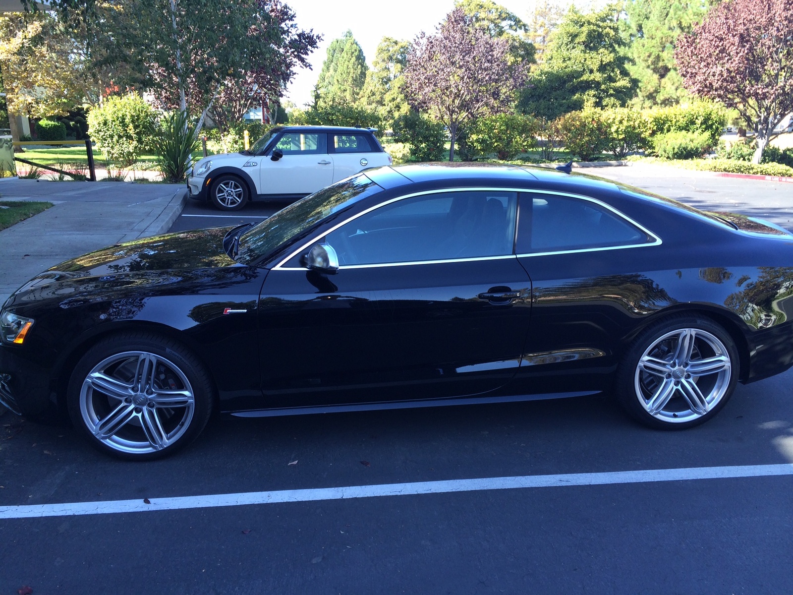 New 2015 2016 Audi S5 For Sale Cargurus