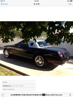 Thunderbird Thunderbird