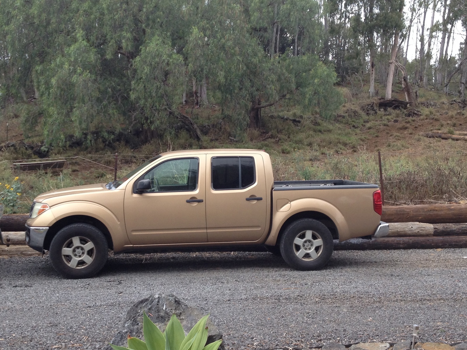 2005 Nissan frontier nismo consumer reviews #6