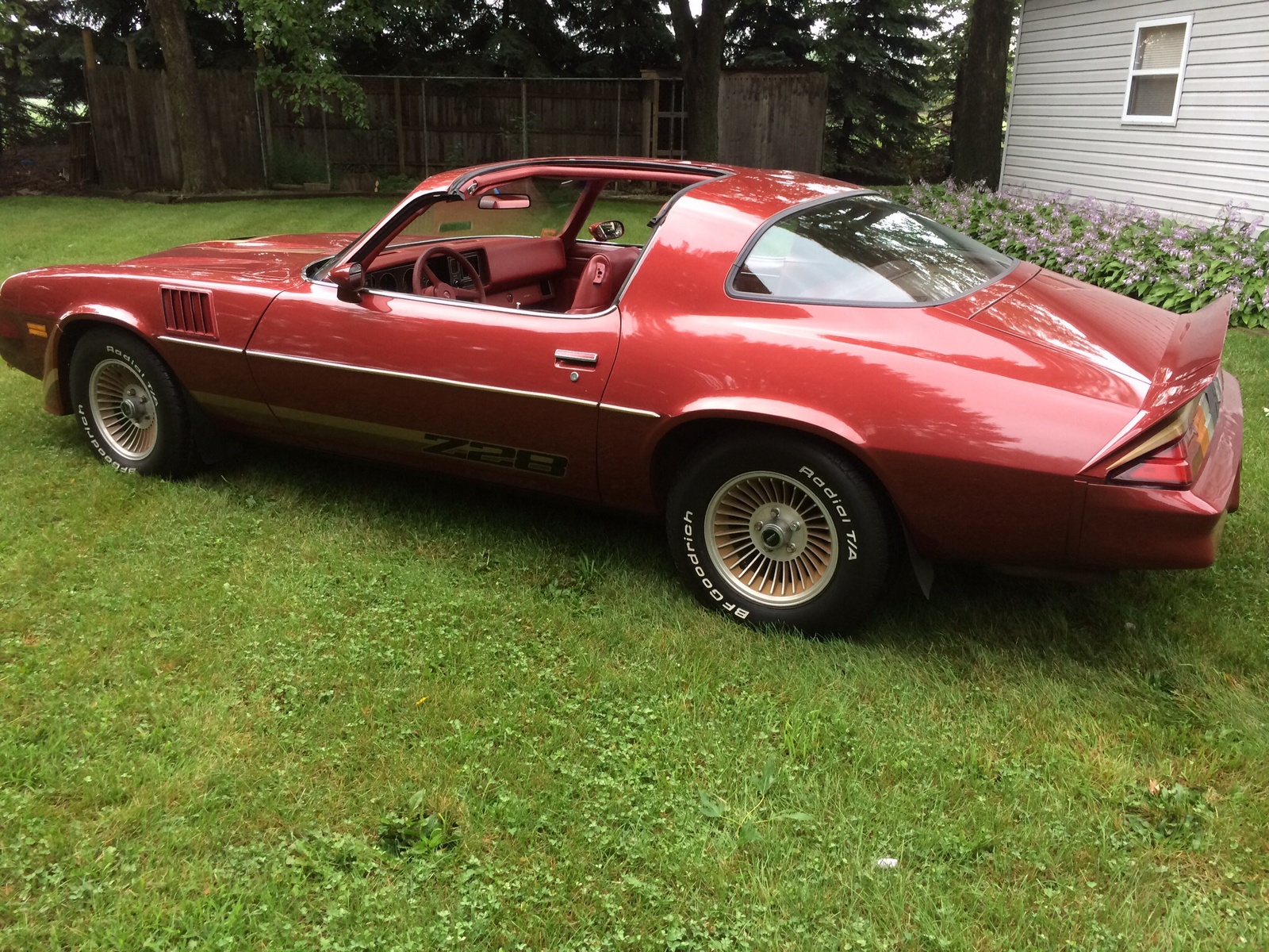 1979 Chevrolet Camaro