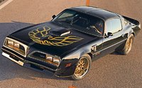 TransAm77 TransAm77