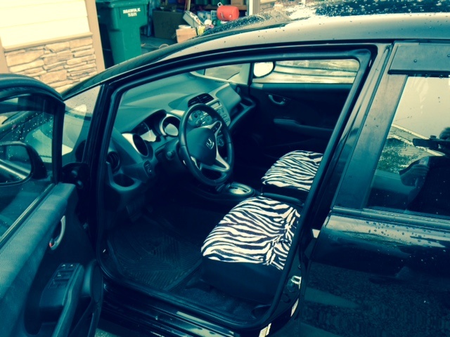 2009 Honda Fit