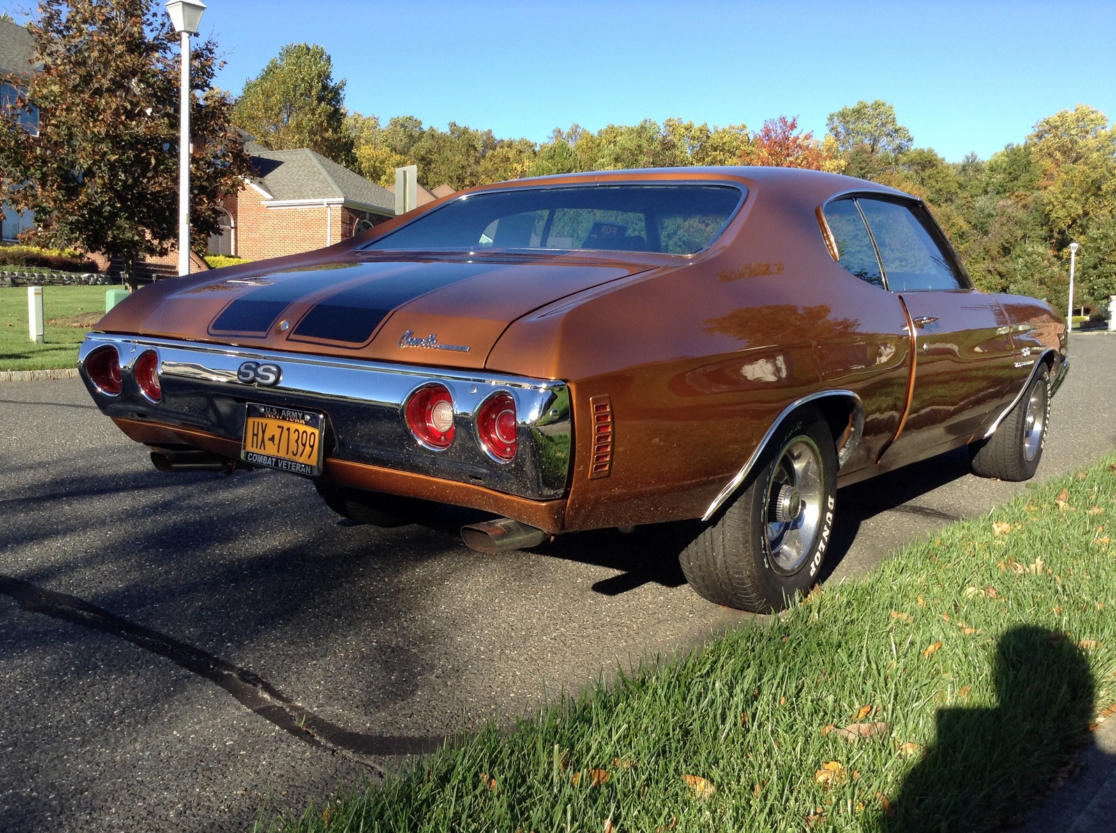 1973 Chevrolet Chevelle Overview Cargurus