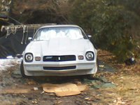 1980 Pontiac Trans Am Overview 1980 Pontiac Trans Am Overview