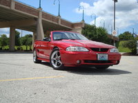 Mustang SVT Cobra Mustang SVT Cobra
