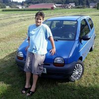 1998 Renault Twingo Overview 1998 Renault Twingo Overview