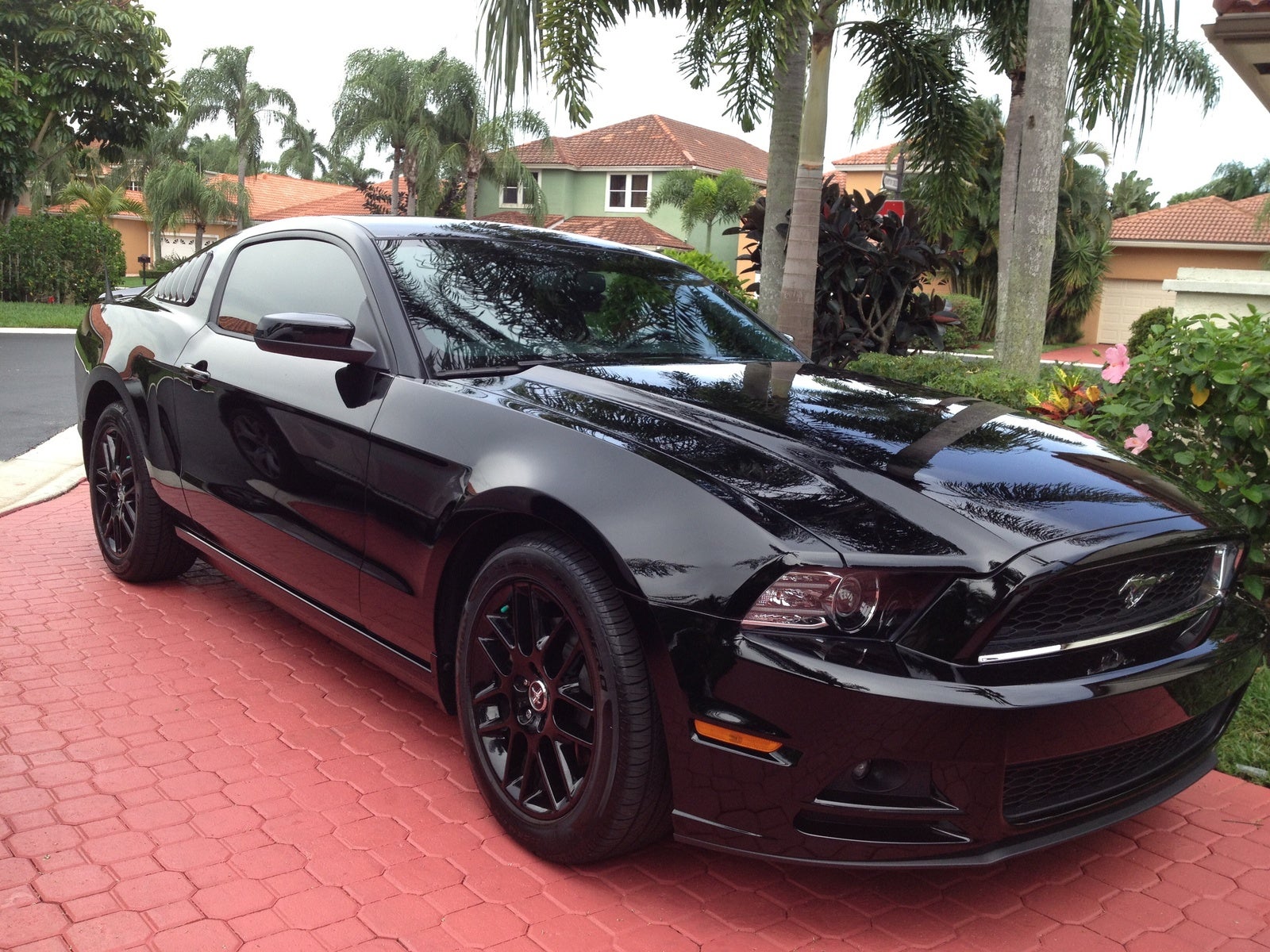 New 2015 \/ 2016 Ford Mustang For Sale  CarGurus