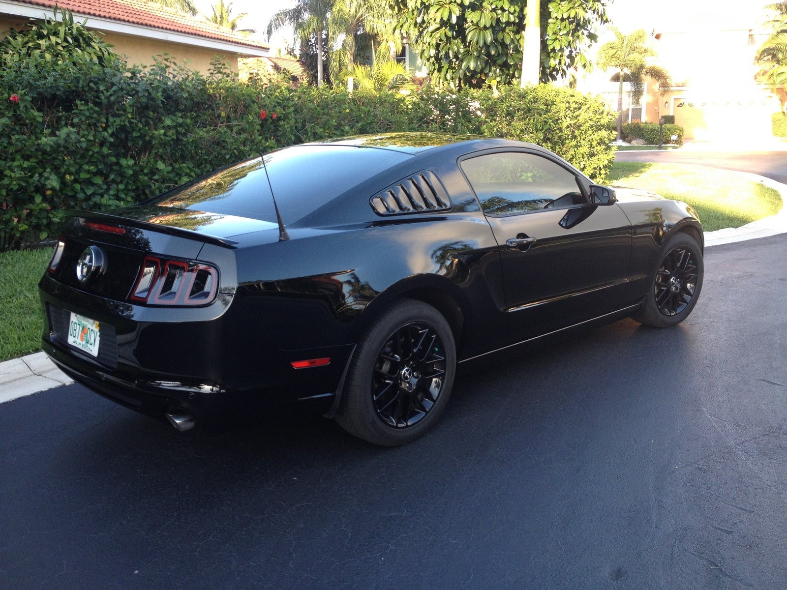 New 2015 / 2016 Ford Mustang For Sale - CarGurus