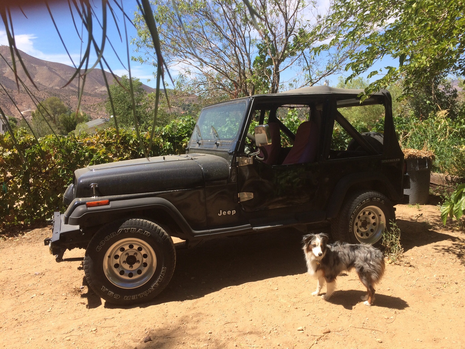 1987 Jeep Wrangler
