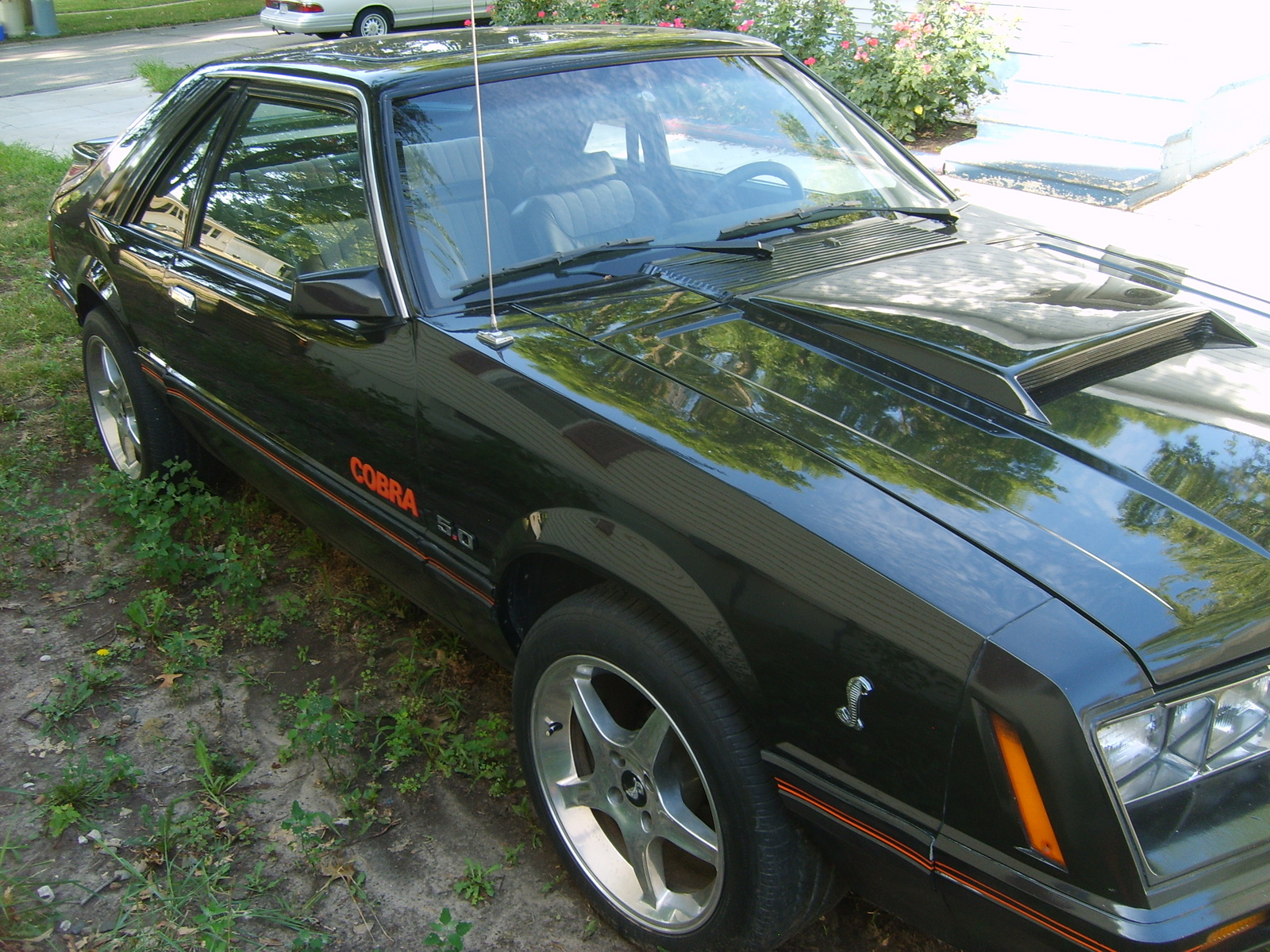 1979 Ford Mustang