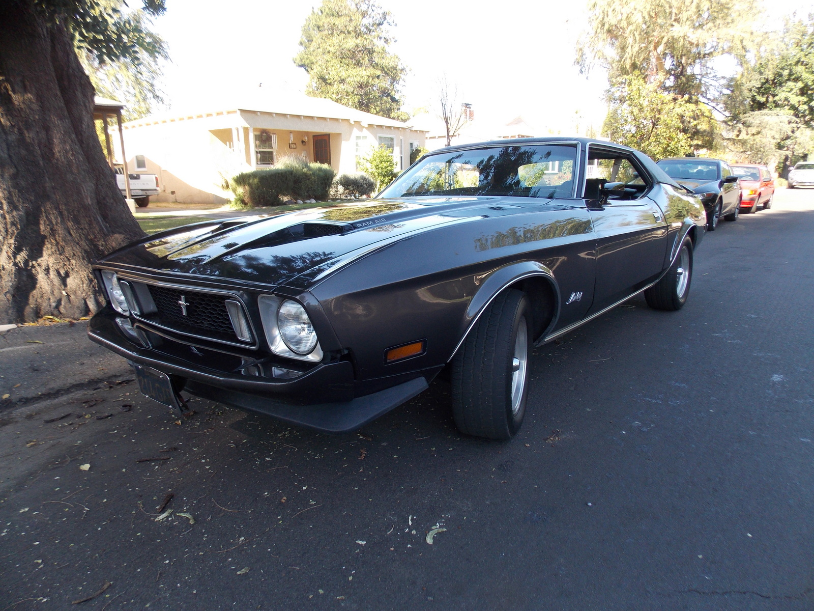 1973 Ford Mustang