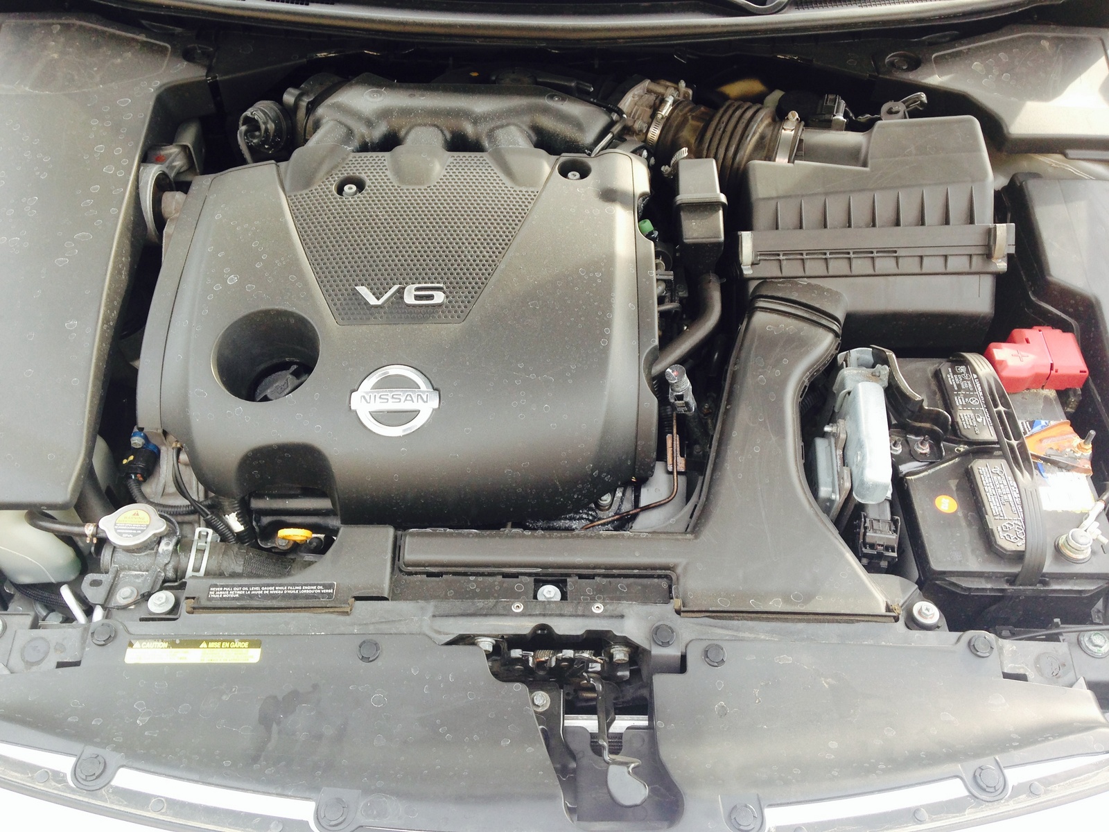 2009 Nissan Maxima