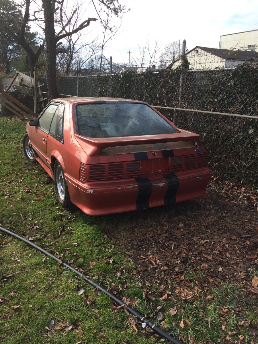 1989 Ford Mustang