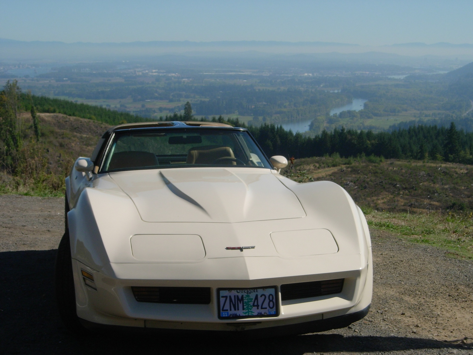 1981 Chevrolet Corvette