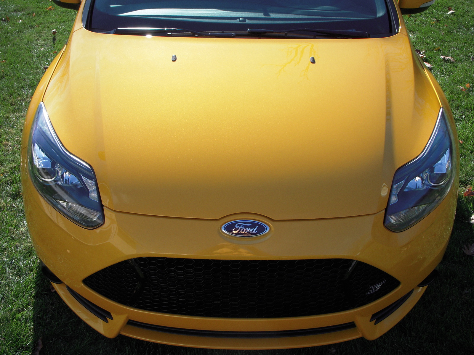 2013 Ford Focus