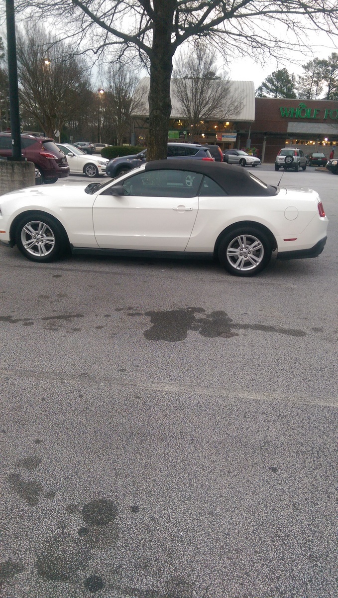 2010 Ford Mustang