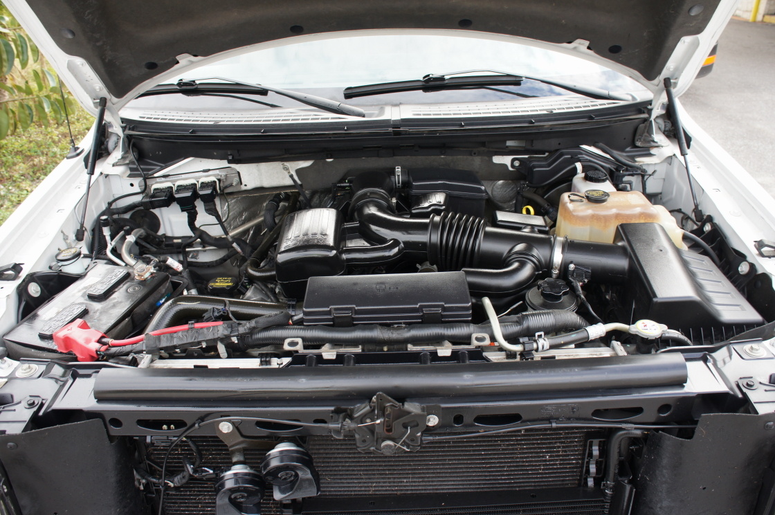 2010 Ford F-150