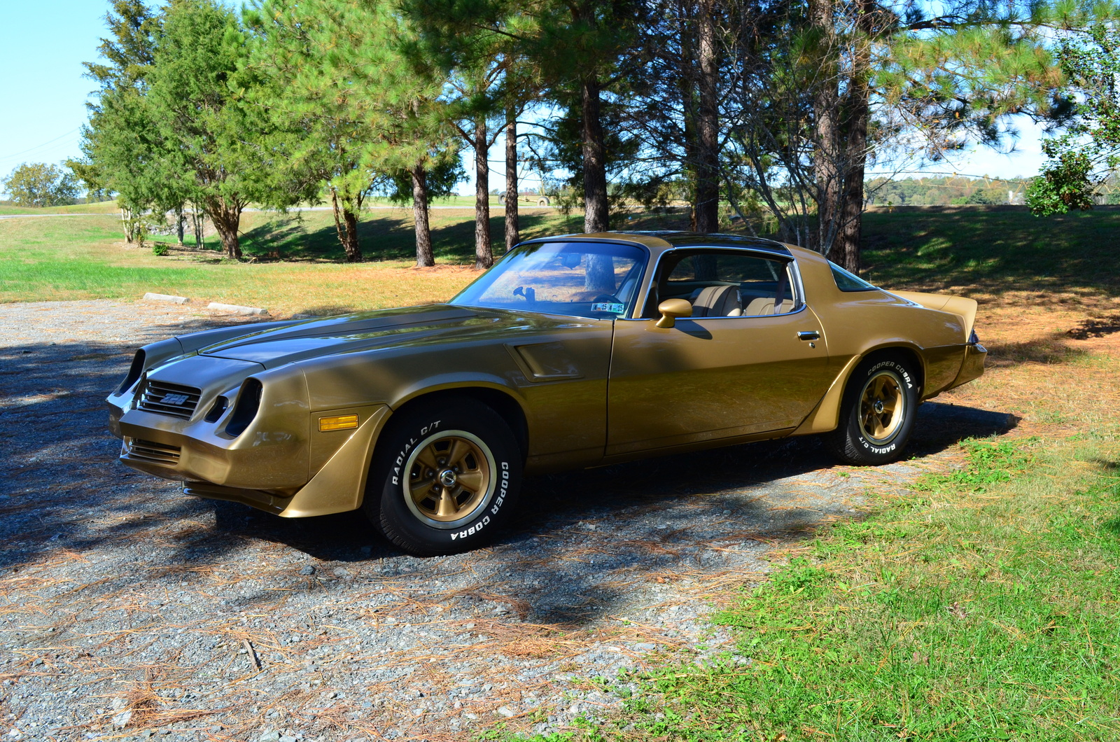 1981 Chevrolet Camaro