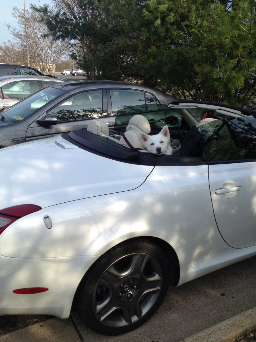2007 Lexus SC 430