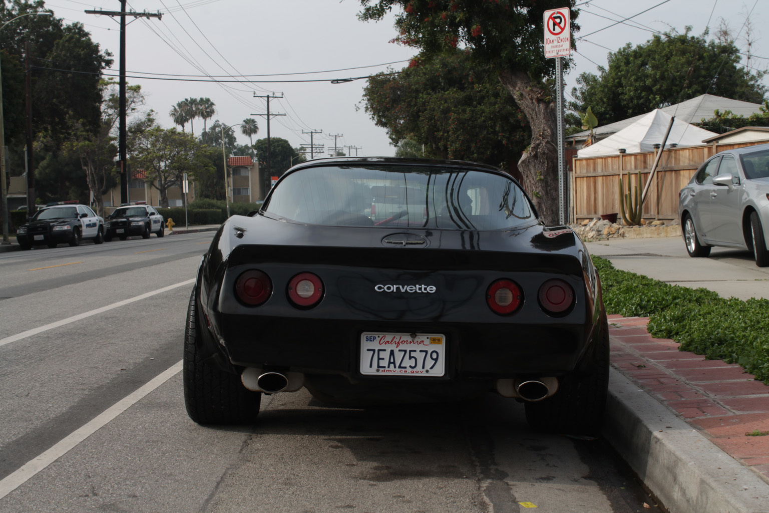 1981 Chevrolet Corvette