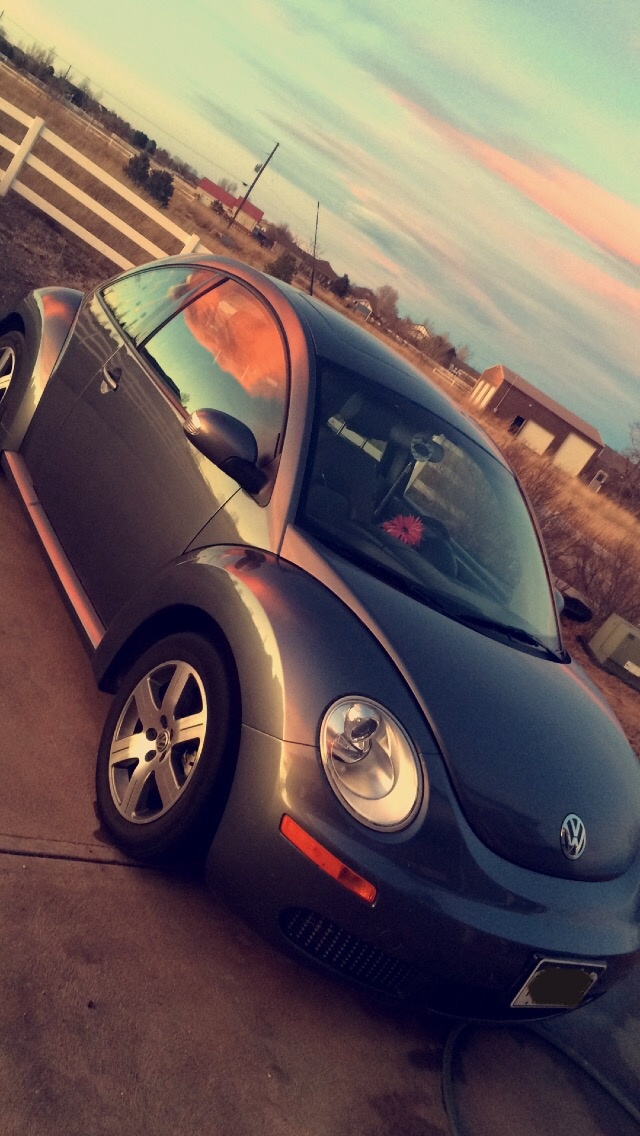 2006 Volkswagen Beetle