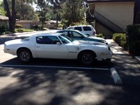 1976 Pontiac Trans Am Overview 1976 Pontiac Trans Am Overview