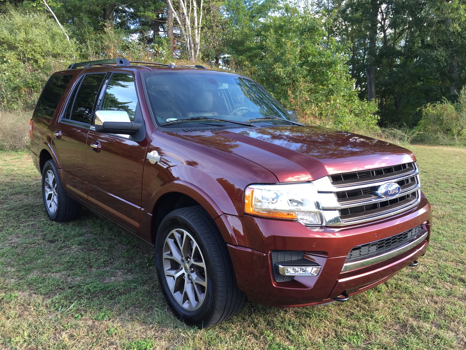 New 2015 \/ 2016 Ford Expedition For Sale Atlanta, GA  CarGurus