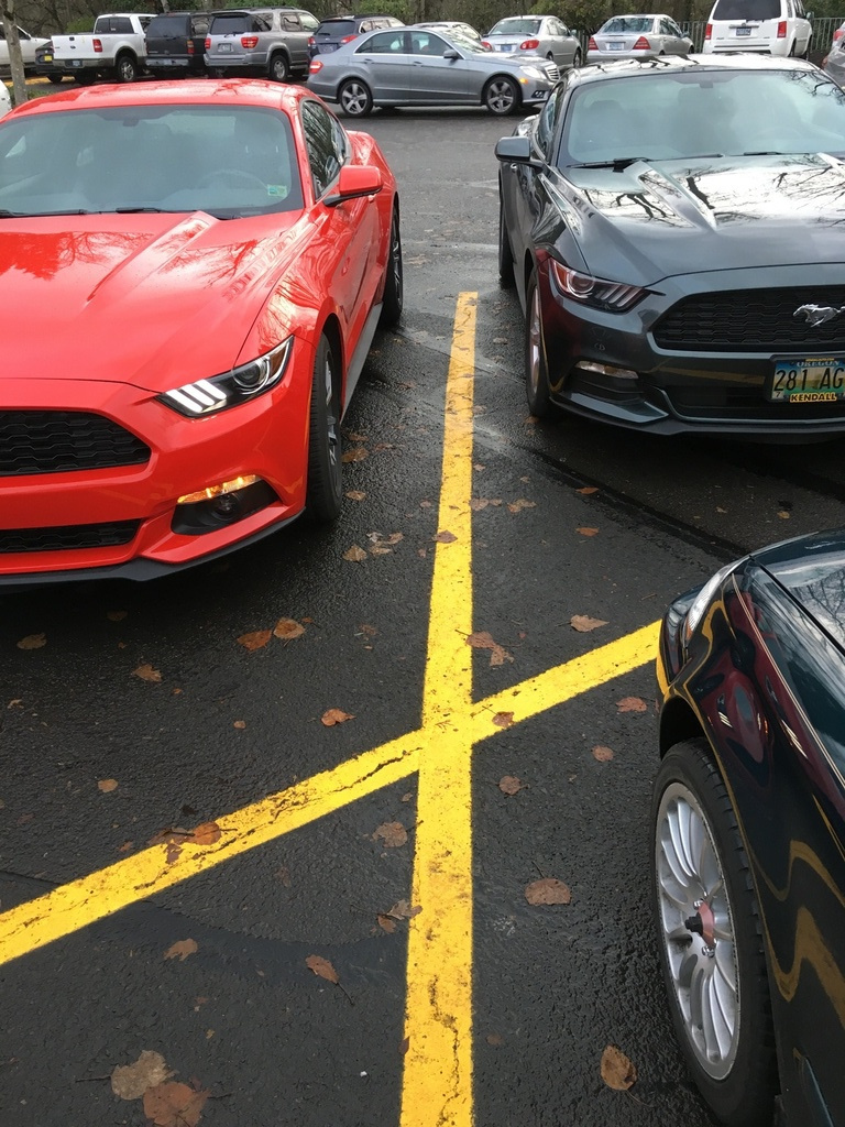 New 2015 / 2016 Ford Mustang For Sale CarGurus