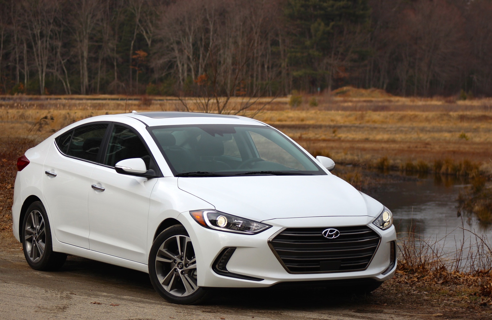 new elantra