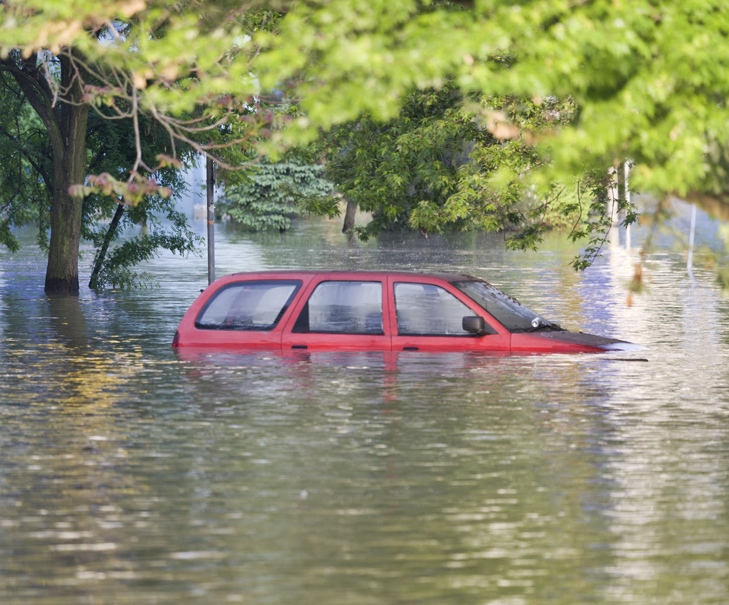 Is It Smart to Buy a Salvage Car? - CarGurus
