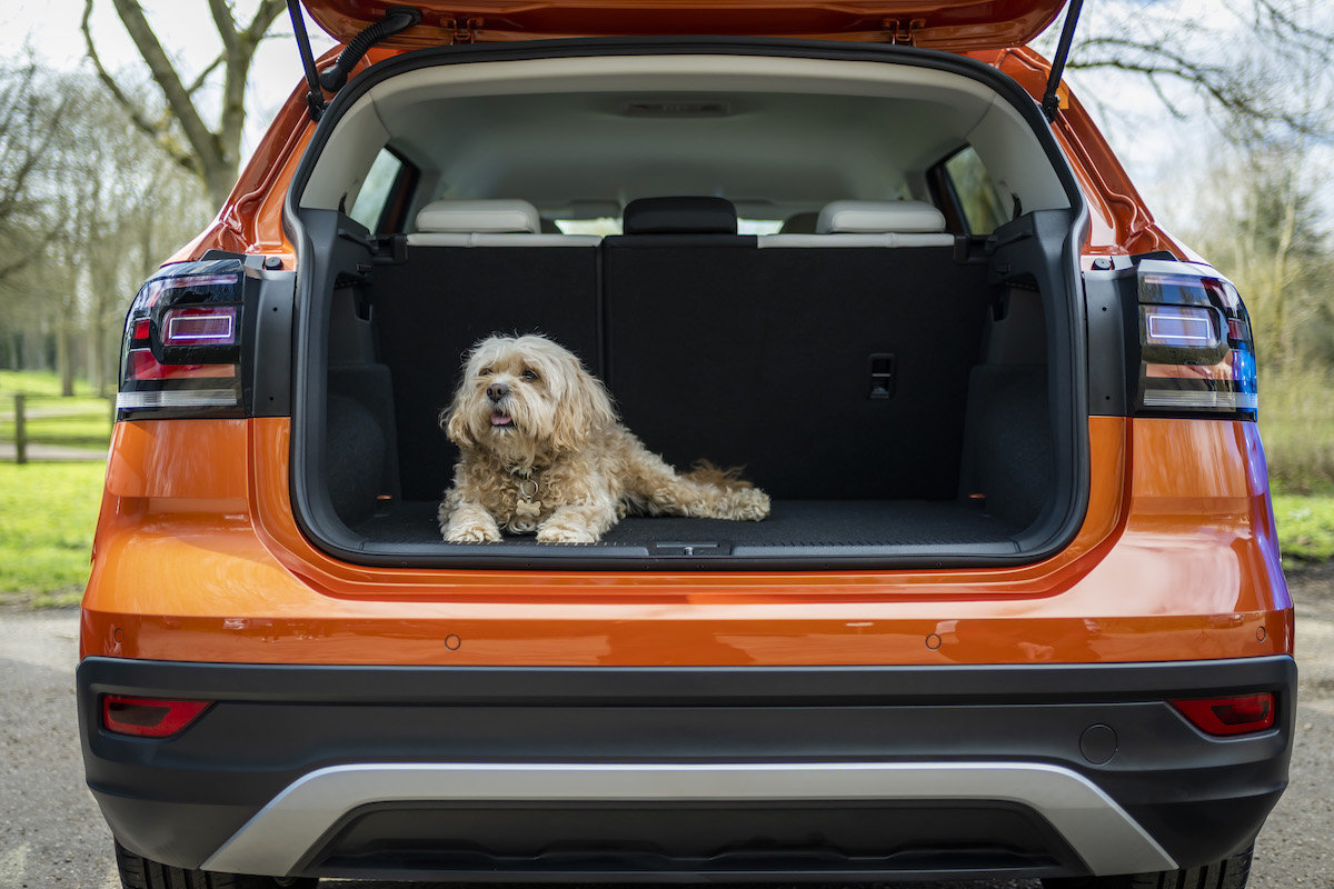 The Best Cars for Dog Owners 2024 CarGurus