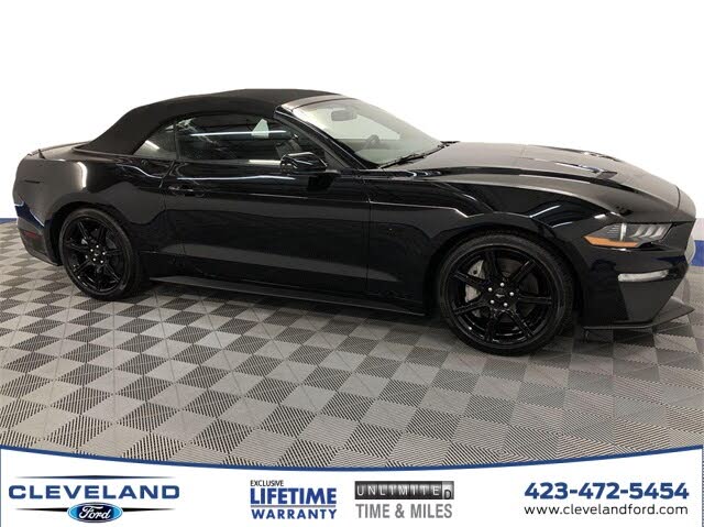 Used 2019 Ford Mustang Gt Premium Convertible Rwd For Sale With Photos Cargurus