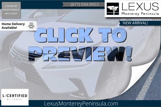 2019 Lexus NX Hybrid 300h AWD