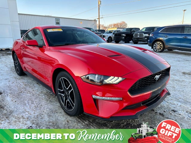 2019 Ford Mustang EcoBoost Coupe RWD