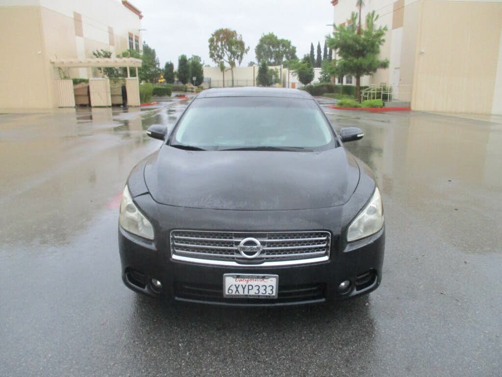 2011 maxima sv for sale