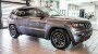 2021 Jeep Grand Cherokee Trailhawk 4WD