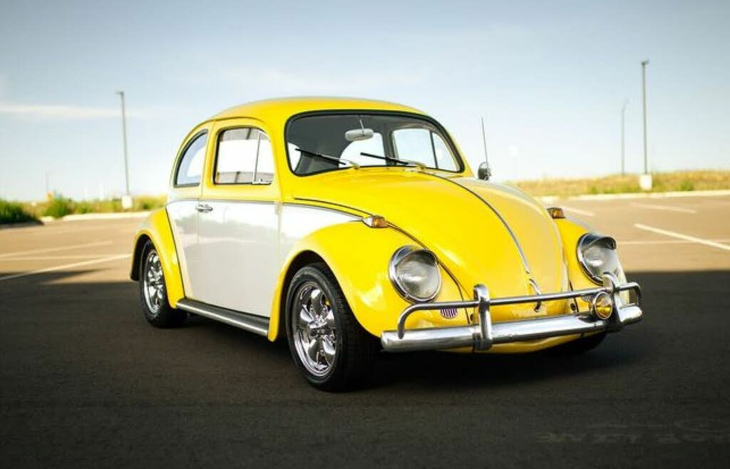 Used 1965 Volkswagen Beetle for Sale (with Photos) - CarGurus